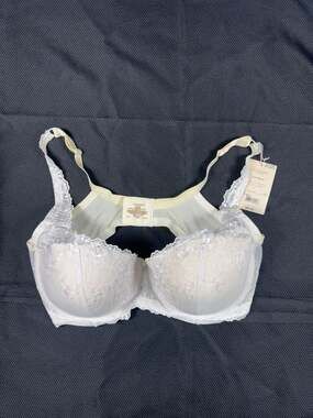 Playtex Secrets and Ambrielle bundle, Underwire Bra 44DD